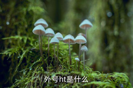 買受人號碼ht是什么，備案合同中買受人號碼HT