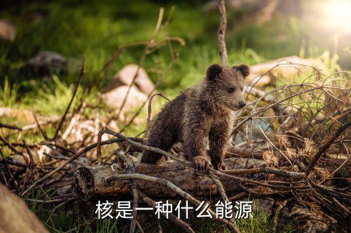 核能是什么能源，核能是一種什么的能源嗎