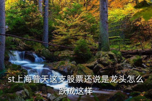 上海普天什么時間上市，st上海普天這支股票還說是龍頭怎么跌成這樣