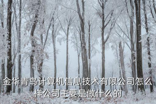 青鳥華光是做什么的，送機(jī)員是做什么的