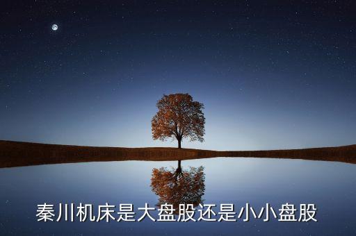 秦川機床是什么板塊的，600248是屬于什么板塊的股有潛力沒的能看高到多少價位
