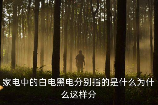 三星白電是什么意思，家電中的白電黑電分別指的是什么為什么這樣分