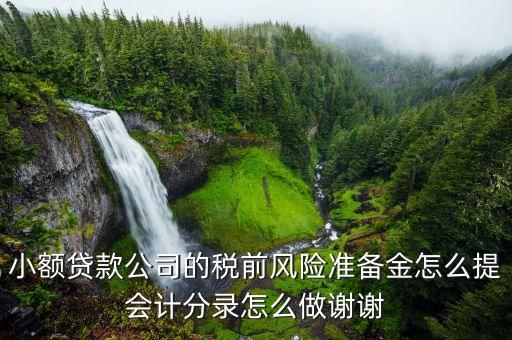 小貸公司風(fēng)險(xiǎn)撥備是什么，風(fēng)險(xiǎn)撥備金是什么樂(lè)錢(qián)有嗎
