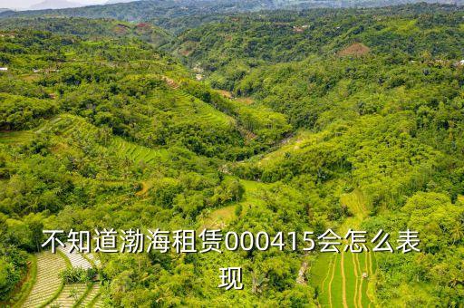 渤海租賃為什么漲的慢，不知道渤海租賃000415會(huì)怎么表現(xiàn)