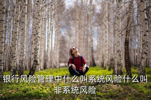 不發(fā)生系統(tǒng)性什么意思，銀行風(fēng)險(xiǎn)管理中什么叫系統(tǒng)風(fēng)險(xiǎn)什么叫非系統(tǒng)風(fēng)險(xiǎn)