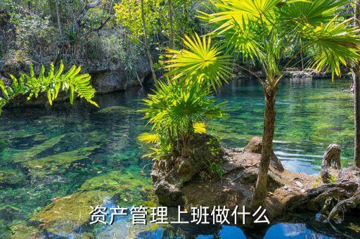 資產(chǎn)管理做什么，資產(chǎn)管理上班做什么