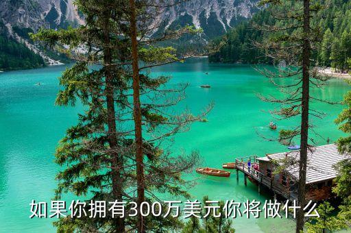 美國300萬美元能做什么，如果你擁有300萬美元你將做什么