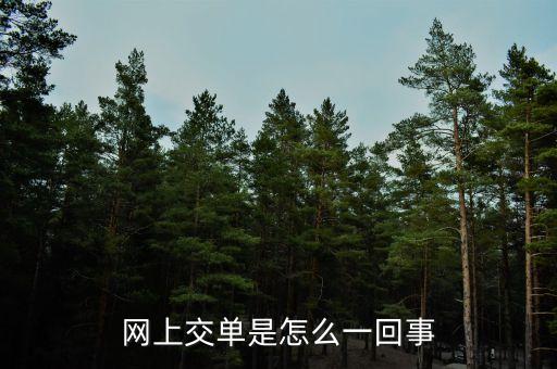 什么叫電子交單，網(wǎng)上交單是怎么一回事