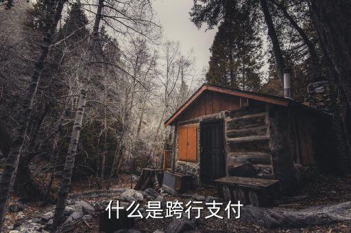 什么是跨行清算，什么叫跨行