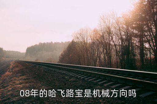 哈飛集團(tuán)用什么專業(yè)，08年的哈飛路寶是機(jī)械方向嗎