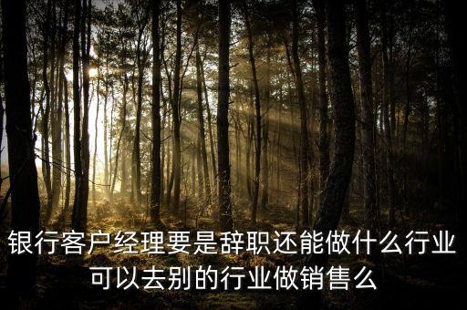 銀行客戶經理要是辭職還能做什么行業(yè)可以去別的行業(yè)做銷售么