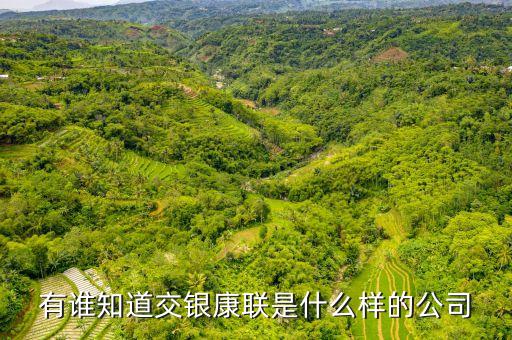 交銀康聯(lián)是什么公司，有誰知道交銀康聯(lián)是什么樣的公司