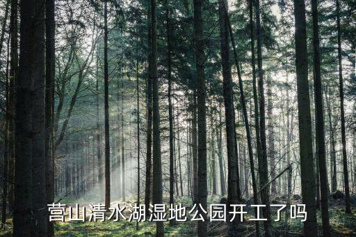 岱湖濕地什么開工，營山清水湖濕地公園開工了嗎