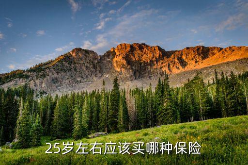 25歲買什么保險好，25歲買什么保險最劃算