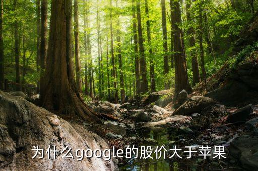 為什么google股票比apple貴，為什么微軟的股價(jià)比硅谷其他巨頭比如蘋(píng)果Google低那么多