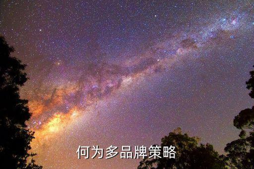 什么是多策略，何為多品牌策略