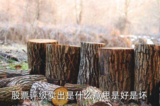 股票沽售評級什么意思，請問什么是惜售什么是沽售