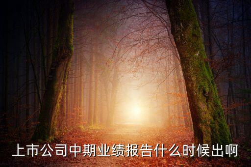 中報業(yè)績最晚什么時間公布，規(guī)定股票中報什么時候出