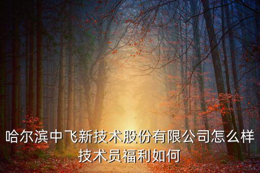 中飛股份公司做什么的，哈爾濱中飛新技術(shù)股份有限公司怎么樣技術(shù)員福利如何