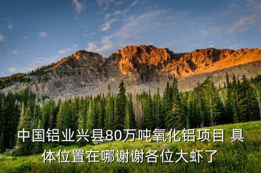 中鋁蔡安輝什么級別，中國鋁業(yè)興縣80萬噸氧化鋁項目 具體位置在哪謝謝各位大蝦了