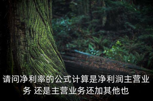 請(qǐng)問凈利率的公式計(jì)算是凈利潤(rùn)主營業(yè)務(wù) 還是主營業(yè)務(wù)還加其他也