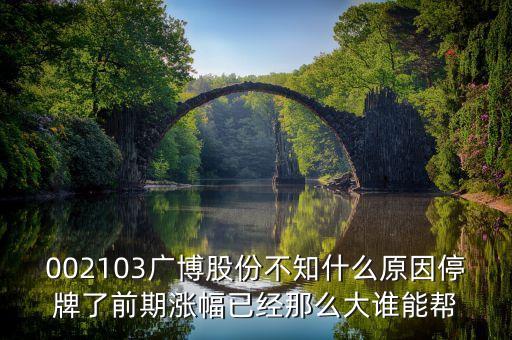 廣博股份什么時候復牌，002103廣博股份不知什么原因停牌了前期漲幅已經那么大誰能幫