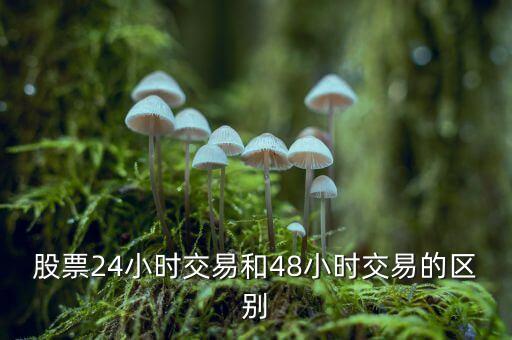 24小時交易是什么意思，股票24小時交易和48小時交易的區(qū)別