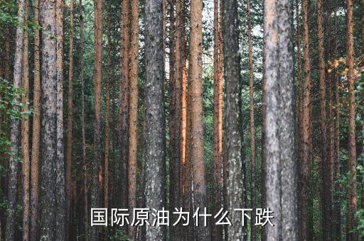 國際原油為什么暴跌，造成國際油價下跌的因素有哪些