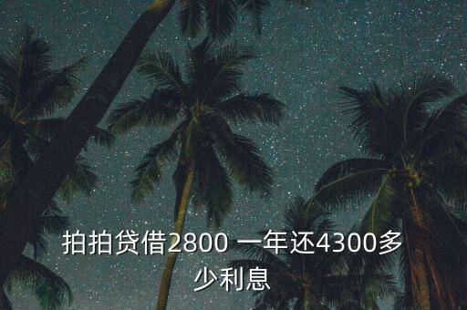 什么是拍拍貸，拍拍貸借2800 一年還4300多少利息