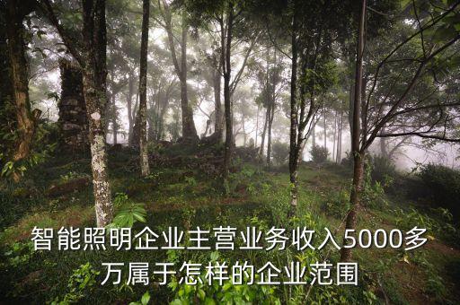 溫州宏豐主營(yíng)什么，請(qǐng)問凈利率的公式計(jì)算是凈利潤(rùn)主營(yíng)業(yè)務(wù) 還是主營(yíng)業(yè)務(wù)還加其他也