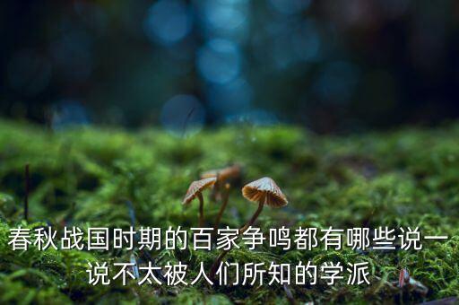 春秋戰(zhàn)國時(shí)期的百家爭鳴都有哪些說一說不太被人們所知的學(xué)派