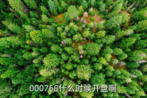 南方軸承什么時(shí)候開(kāi)盤(pán)，000768什么時(shí)候開(kāi)盤(pán)啊