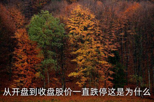 為什么開盤就跌停，從開盤到收盤股價(jià)一直跌停這是為什么
