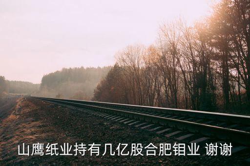 山鷹紙業(yè)發(fā)債10億干什么，山鷹紙業(yè)在轉(zhuǎn)債的情況下未來趨勢如何