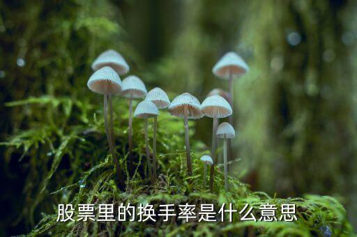 股票中換手率什么意思，股票里面的換手率是什么意思