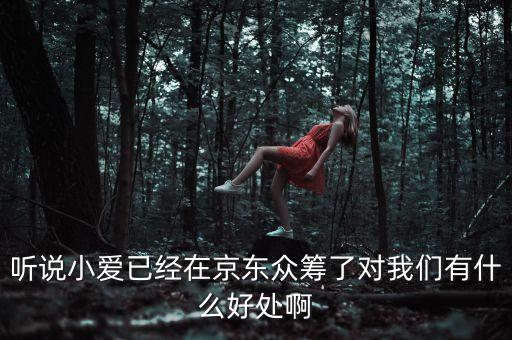 京東jimi機器人有什么作用，jimi 是什么意思
