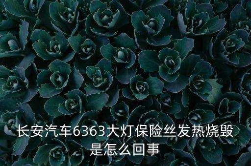 車的大燈保險絲為什么過熱，長安汽車6363大燈保險絲發(fā)熱燒毀是怎么回事