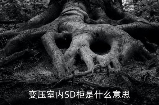 授軍旗為什么在室內(nèi)，變壓室內(nèi)SD柜是什么意思
