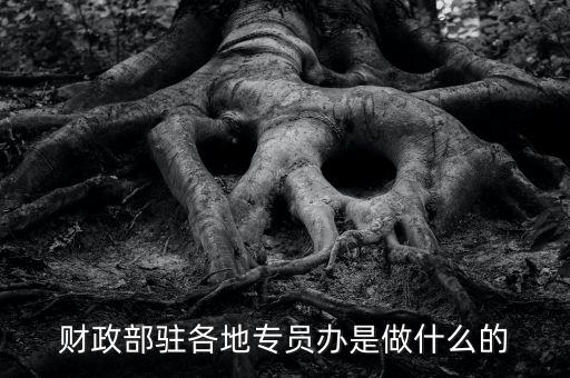 財(cái)專辦是什么，財(cái)政部駐各地專員辦是做什么的