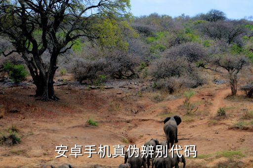 三星夢想課堂是什么，權(quán)相宇的檔案資料