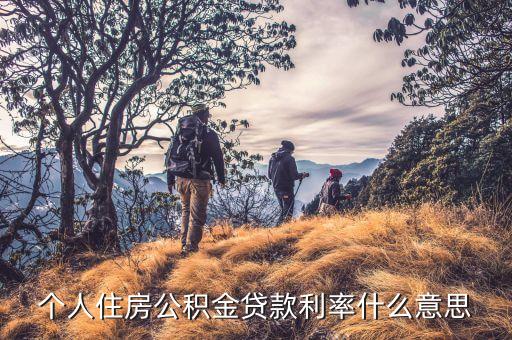 公積金利率是什么意思，個人住房公積金存款利率是什么意思