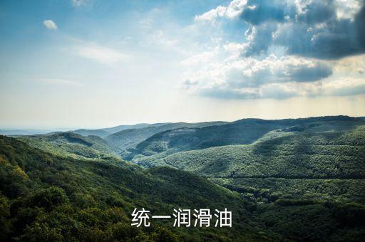 霍氏為什么賣統(tǒng)一潤滑油，統(tǒng)一潤滑油
