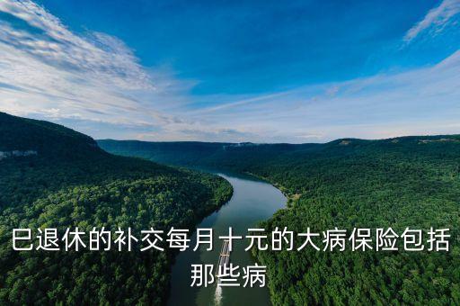 每月10元大病醫(yī)保是什么，由個人繳納的10元大病保險是否為強制繳納的由什么保險作用
