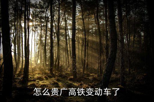 高鐵什么時(shí)候變動車，怎么貴廣高鐵變動車了