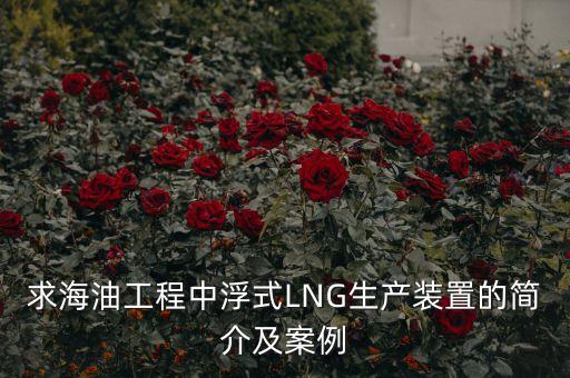 什么是浮式lng項目，什么是浮式LNG