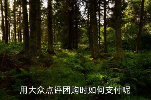 大眾點評網(wǎng)用什么支付，手機大眾點評有幾種支付方式