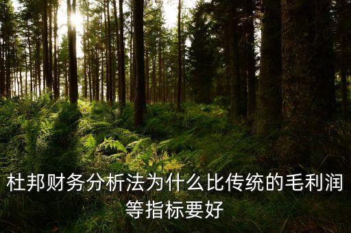 為什么要比較毛利率，杜邦財務分析法為什么比傳統(tǒng)的毛利潤等指標要好