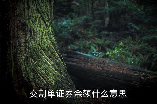 交割單中的剩余金額是什么，中原證券交割單里的本次金額什么意思