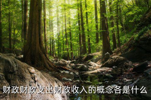 什么是財(cái)政支出，財(cái)政支農(nóng)支出的含義是什么