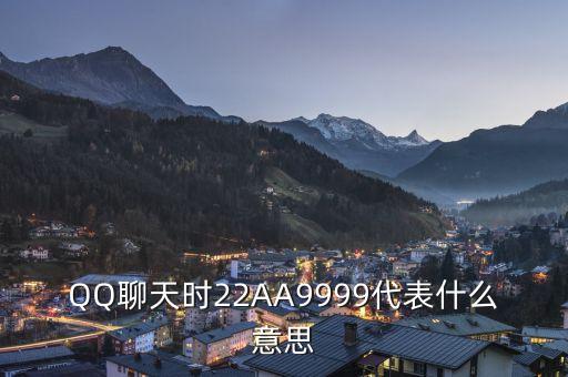 2AU9999代表什么，9999代表什么字